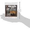 imageErnie Ball Beefy Slinky Coated Titanium Electric Guitar Strings 1154 Gauge P03127Hybrid 946