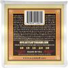 imageErnie Ball Earthwood 5String Bluegrass 8020 Bronze Banjo Strings 920 Gauge P02063Frailing