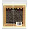 imageErnie Ball Earthwood Silk and Steel 12String Soft Acoustic Guitar Strings 949 Gauge P02051ExtraSoft 1050