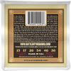imageErnie Ball Earthwood Silk and Steel 12String Soft Acoustic Guitar Strings 949 Gauge P02051Regular 1356