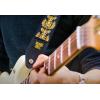 imageErnie Ball Guitar Strap P05362Royal Crest