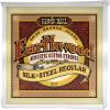 imageErnie Ball Earthwood Silk and Steel 12String Soft Acoustic Guitar Strings 949 Gauge P02051Regular 1356