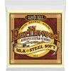 imageErnie Ball Earthwood Silk and Steel 12String Soft Acoustic Guitar Strings 949 Gauge P02051Soft 1152