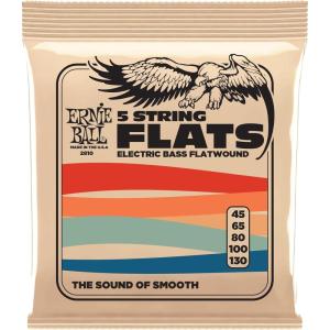 imageErnie Ball 5String Flatwound Bass Guitar Strings 45130 Gauge P02810Group 5 45130