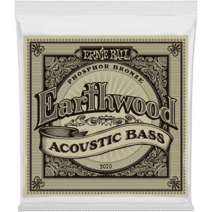 imageErnie Ball Earthwood Slinky Phosphor Bronze Acoustic Bass Guitar Strings 4595 Gauge P02070
