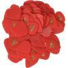 imageErnie Ball Guitar Picks Medium Super Glow 12pack P09225Red